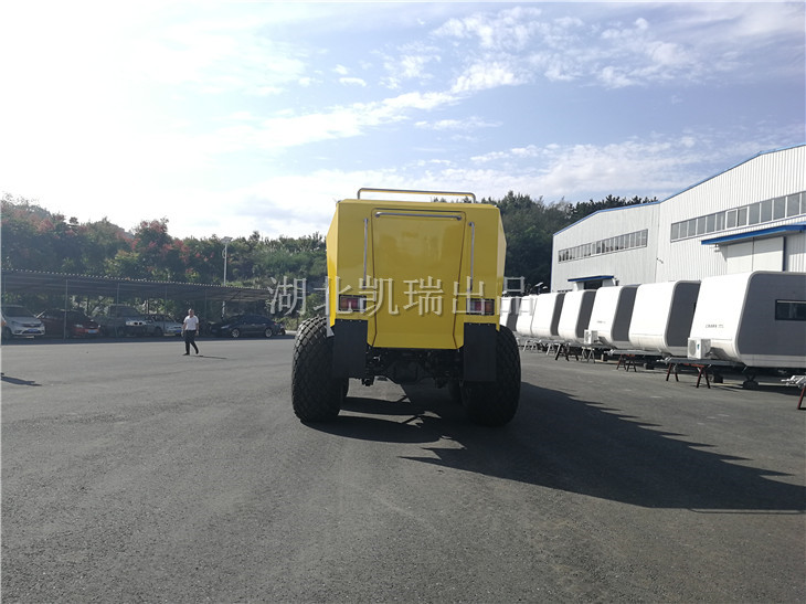 沙漠沖浪車尾部爬梯 沙漠沖浪車尾部爬梯